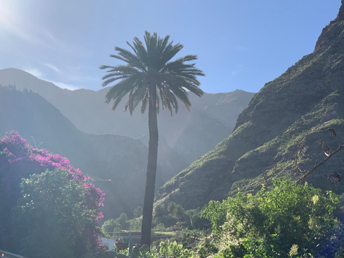 GRAN CANARIA太阳屋旅馆公寓 外观 照片