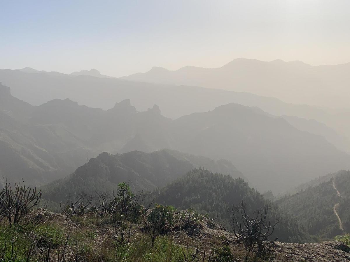GRAN CANARIA太阳屋旅馆公寓 外观 照片